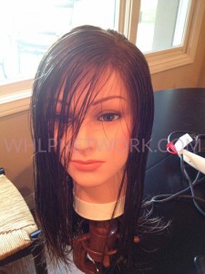 Follea Aero-2 Lace Front Wig